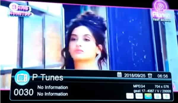 P Tunes was a Punjabi Music channel on the ITV network