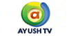 Ayush TV  channel available on Airtel Digital TV DTH