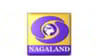 DD NAGALAND Channel available on Zing Digital TV (Zing Super FTA Box)