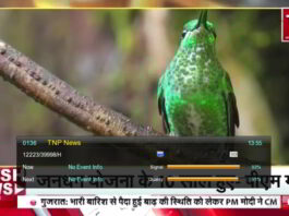 TNP Hindi news channel added on Freesat DTH, SES-12 satellite, Get satellite frequency and LCN to receive this channel